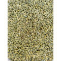 China Xinjiang origin top grade organic pumpkin seeds kernels